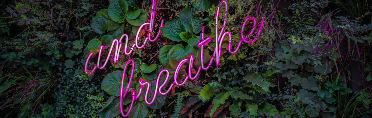 neon lights spell 'and breathe' on a background of green leaves