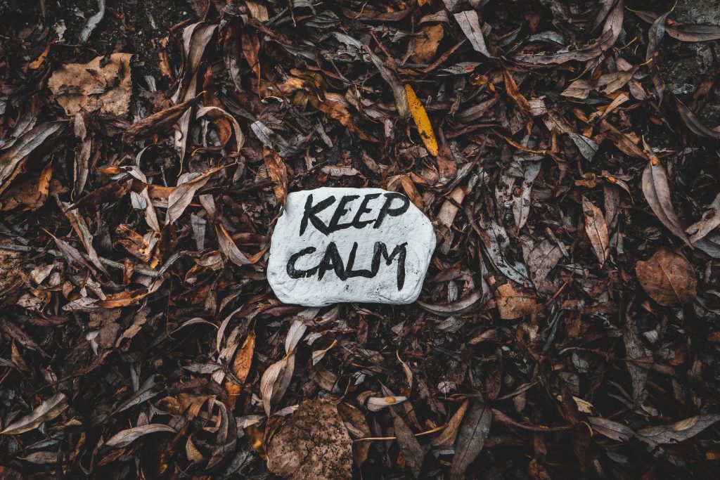 a rock with the words 'keep calm' painted on it sits on a pile of brown leaves