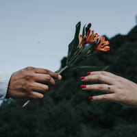 a hand is handing a flower to another hand